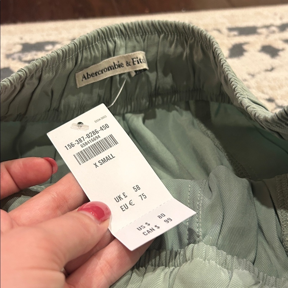 NWT Abercrombie and Fitch Sage Green Joggers - Picture 8 of 9